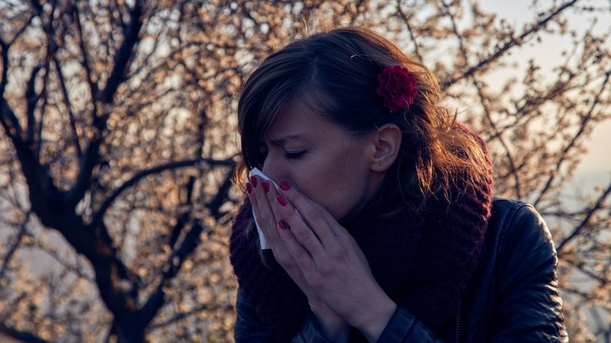 Proljetne alergije postaju sve gore