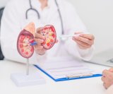 Rak bubrega nije rijetka bolest