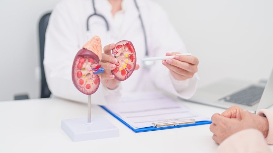 Rak bubrega nije rijetka bolest