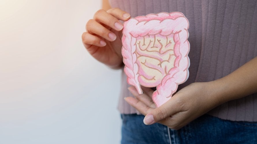 Rak debelog crijeva jedan je od najučestalijih oblika raka, a pravovremeni probir i edukacija ključni su za rano otkrivanje bolesti