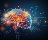 kako radi ljudski mozak