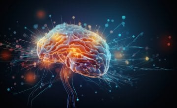 kako radi ljudski mozak