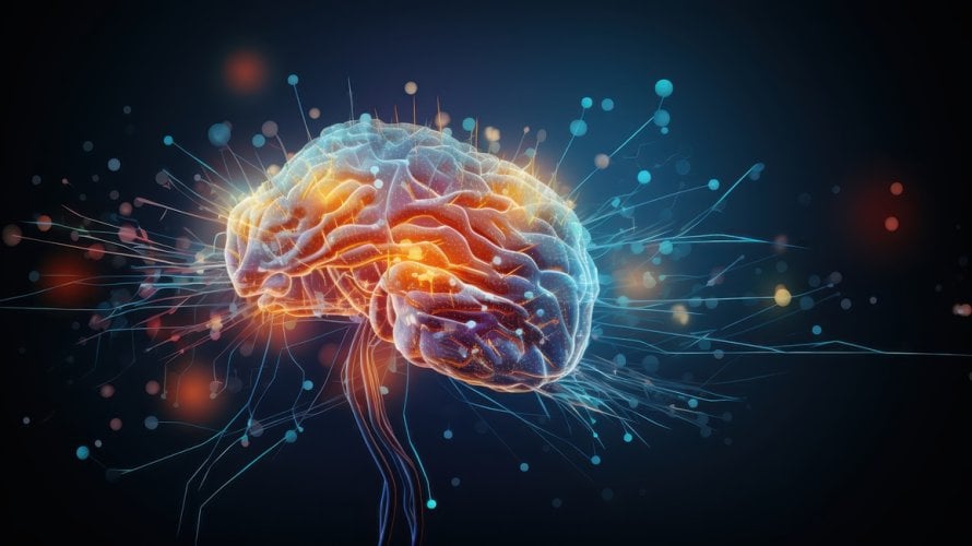 kako radi ljudski mozak