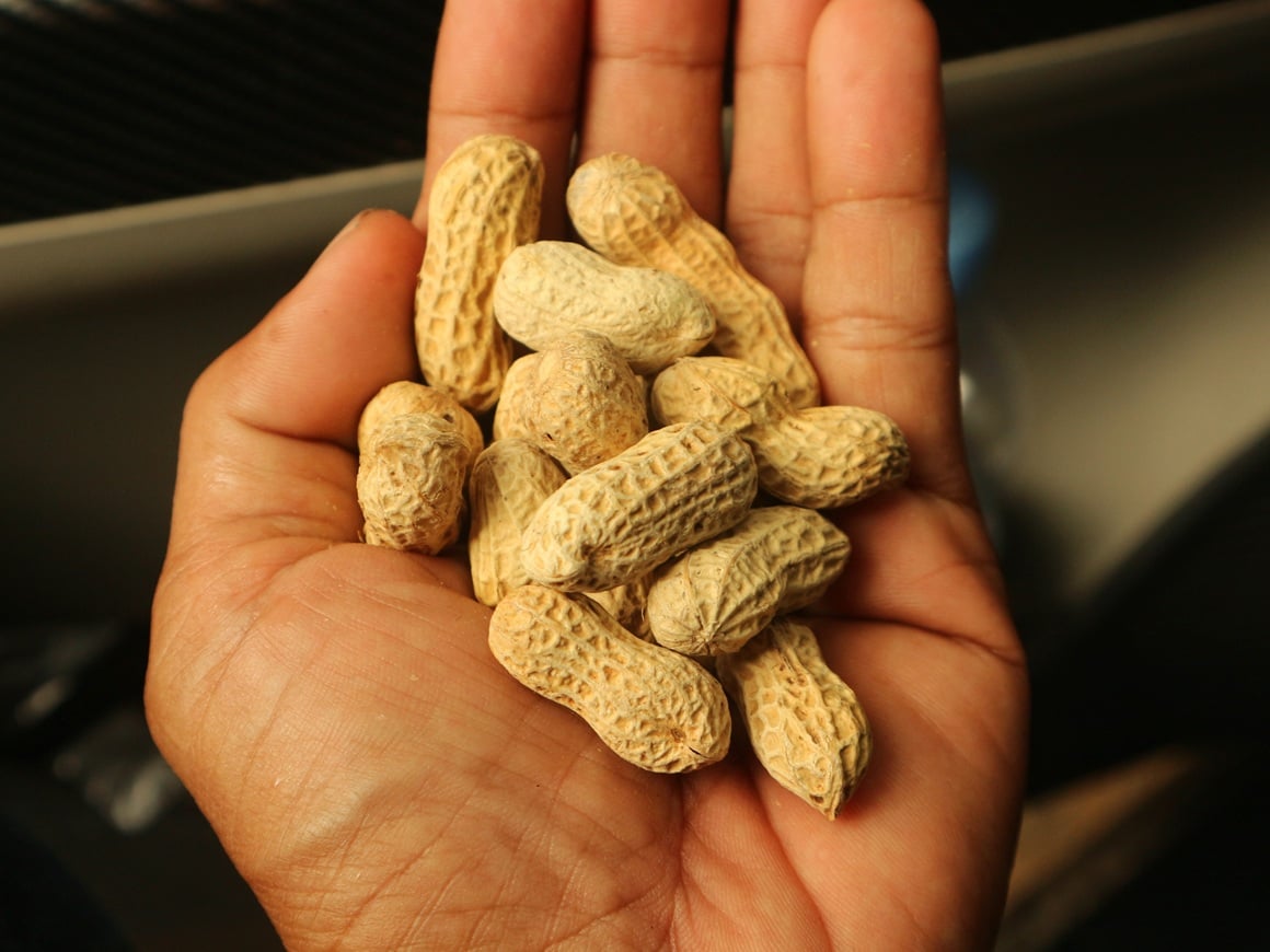 kikiriki nije najčešći alergen