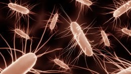 Infekcija bakterijom Clostridioides difficile (C. difficile) može biti izuzetno ozbiljna, osobito kod starijih i oslabljenih osoba