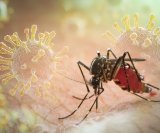 Malarija u Hrvatskoj