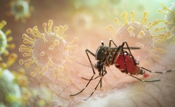 Malarija u Hrvatskoj