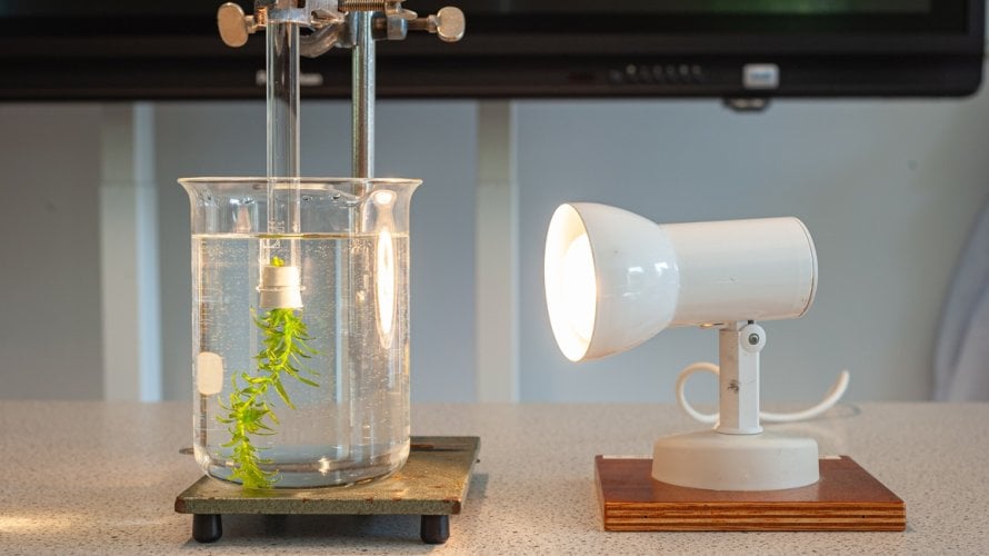 Novi obnovljivi izvori energije