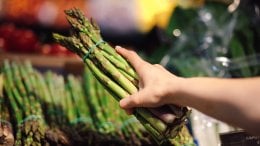 Tko ne smije jesti šparoge