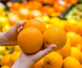 U nekim slučajevima kora naranče može biti umjetno obojena kako bi izgledala zrelije, osobito ako zbog klimatskih uvjeta prirodno ostaje zelenkasta