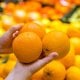 U nekim slučajevima kora naranče može biti umjetno obojena kako bi izgledala zrelije, osobito ako zbog klimatskih uvjeta prirodno ostaje zelenkasta