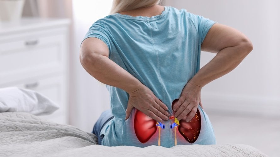 bakterija koja napada bubrege može uzrokovati ozbiljne komplikacije ako se ne liječi na vrijeme