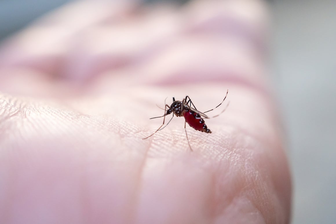 malarija u Hrvatskoj je iskorijenjena još sredinom 20. stoljeća