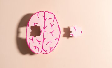 optimizam bi mogao igrati važnu ulogu u smanjenju rizika od demencije