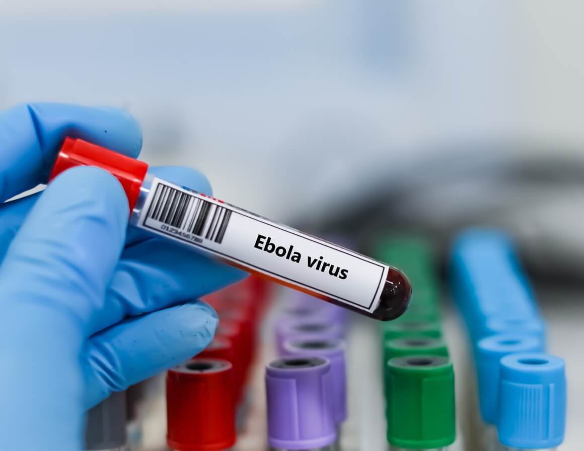 Bundibugyo ebola virus