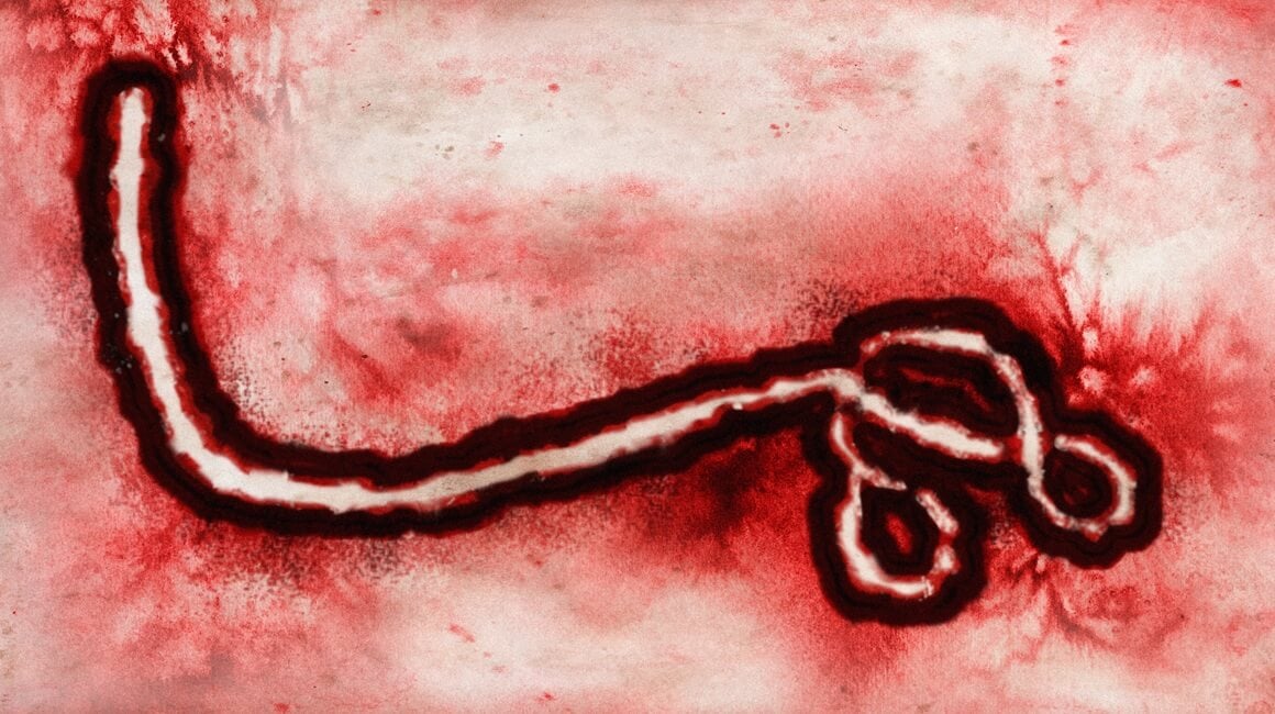 Bundibugyo virus