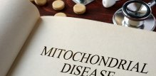 Mitohondrijski test