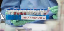 ebola prijenos