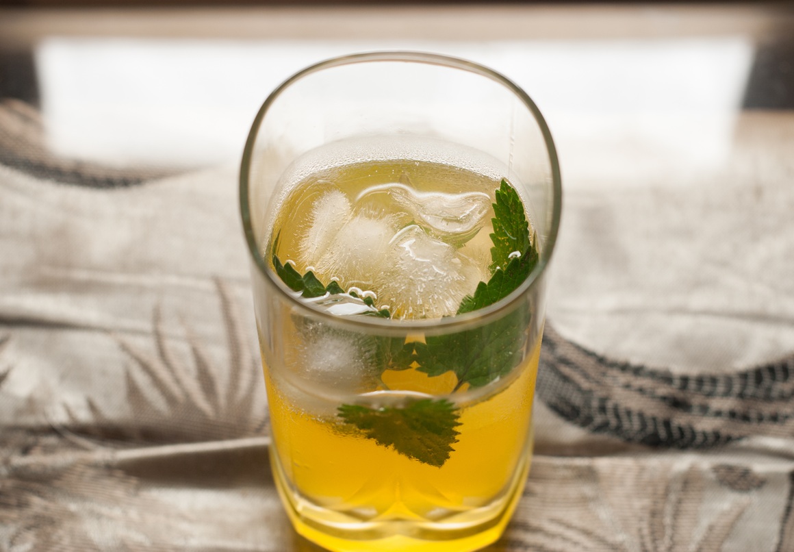 Biljna infuzija (biljni šampanjac)