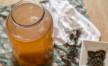 Kombucha s produljenom fermentacijom