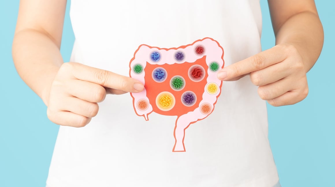 Probiotici, prebiotici i postbiotici: U čemu je razlika i zašto su sva tri važna za crijeva?