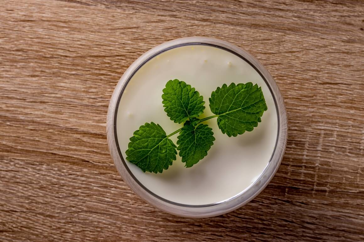 lassi od melise