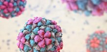 Astrovirus