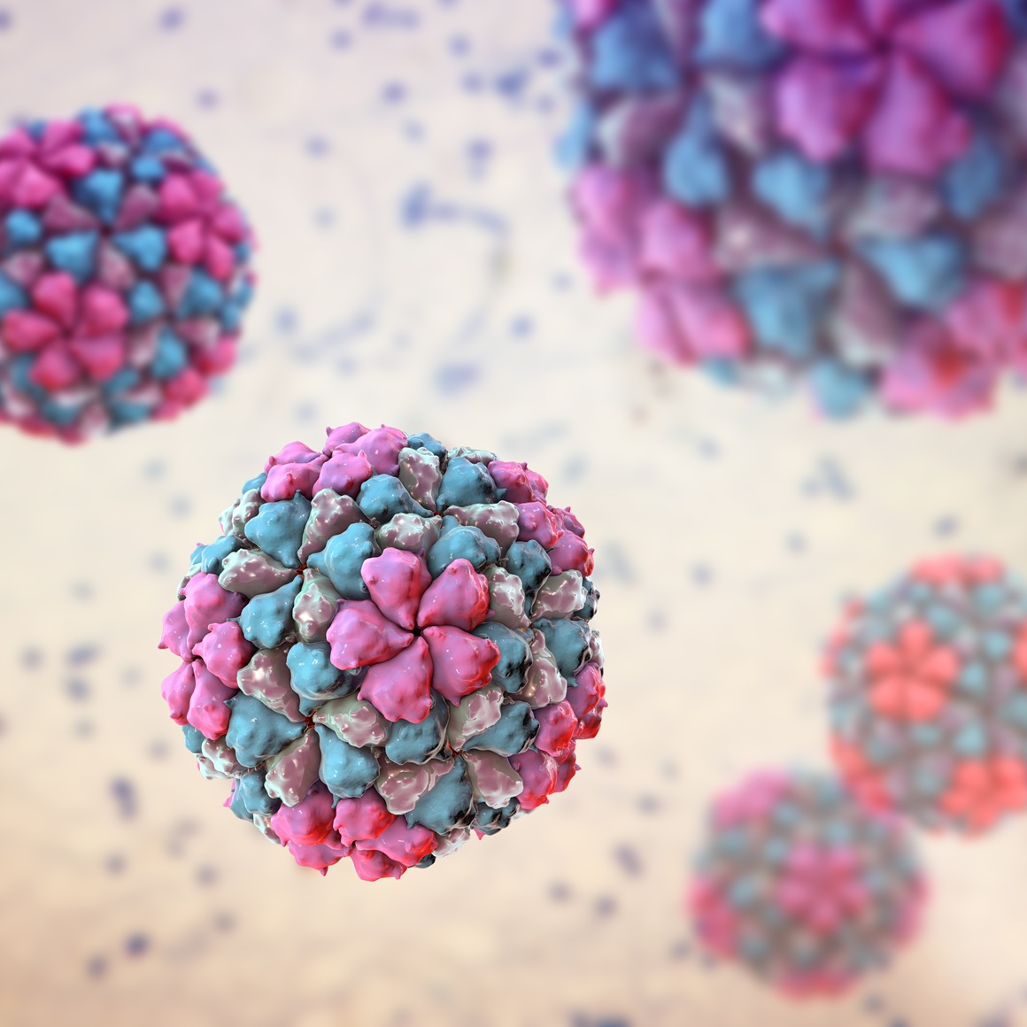 Astrovirus