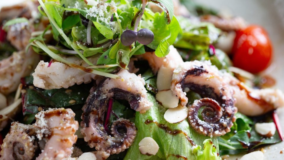 Salata od hobotnice bez krumpira